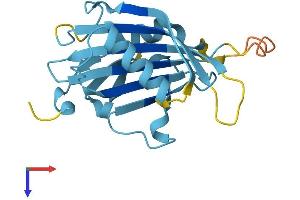 RANGRF Protein (AA 1-186) (His tag)