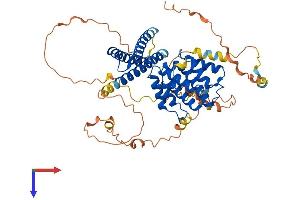 TOM1L2 Protein (AA 1-507) (His tag)