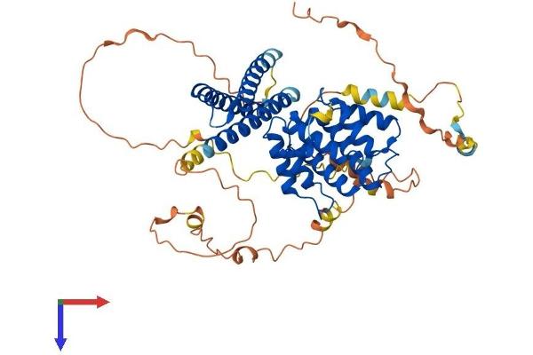 TOM1L2 Protein (AA 1-507) (His tag)