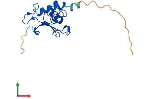 Protein Structure (PS) image for Signal Recognition Particle 19kDa (SRP19) (AA 1-144) protein (His tag) (ABIN7546280)