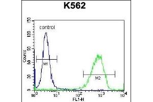 Flow Cytometry (FACS) image for anti-phosphoribosylaminoimidazole Carboxylase, phosphoribosylaminoimidazole Succinocarboxamide Synthetase (PAICS) (AA 95-123), (N-Term) antibody (ABIN656869)