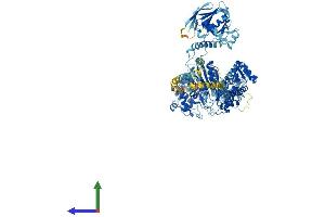 AlphaFold protein structure predicition of Human Recombinant MYO1B Protein, UniprotID O43795 (Myosin IB Protein (MYO1B) (AA 1-1136) (His tag))
