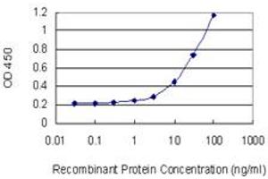 Detection limit for recombinant GST tagged TXK is 0. (TXK antibody  (AA 131-230))