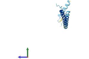 AlphaFold protein structure predicition of Human Recombinant RRP7BP Protein, UniprotID Q9NSQ0 (RRP7B Protein (AA 1-103) (His tag))