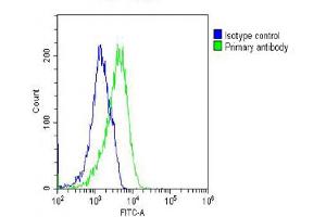 Overlay histogram showing U-2 OS cells stained with (green line). (RAB23 antibody)