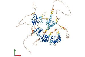 Protein Structure (PS) image for SATB Homeobox 1 (SATB1) (AA 1-764) protein (His tag) (ABIN7563867)