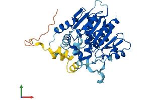 Protein Structure (PS) image for Abhydrolase Domain Containing 4 (ABHD4) (AA 1-342) protein (His tag) (ABIN7559850)