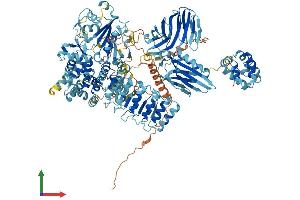 AlphaFold protein structure predicition of Mouse Recombinant Nlrp1a Protein, UniprotID Q2LKU9 (Nlrp1a Protein (AA 1-1182) (His tag))