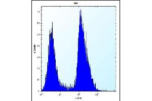 TRIP13 Antibody (C-term) (ABIN656567 and ABIN2845827) flow cytometric analysis of 293 cells (right histogram) compared to a negative control cell (left histogram). (TRIP13 antibody  (C-Term))