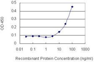 Detection limit for recombinant GST tagged PLCB2 is 3 ng/ml as a capture antibody. (Phospholipase C beta 2 antibody  (AA 1-199))