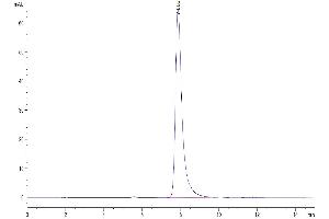 The purity of Mouse SLAMF7 is greater than 95 % as determined by SEC-HPLC. (SLAMF7 Protein (AA 23-224) (His tag))