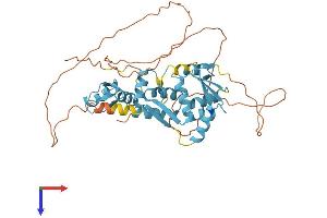 AlphaFold protein structure predicition of Human Recombinant ZBTB6 Protein, UniprotID Q15916 (ZBTB6 Protein (AA 1-424) (His tag))