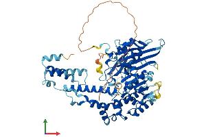 AlphaFold protein structure predicition of Human Recombinant DENND6A Protein, UniprotID Q8IWF6 (FAM116A Protein (AA 1-608) (His tag))