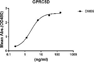 ELISA plate pre-coated by 2 μg/mL (100 μL/well) Human GPRC5D protein, hFc-His tagged protein ((ABIN6961124, ABIN7042277 and ABIN7042278)) can bind Rabbit anti-GPRC5D monoclonal antibody(clone: DM89) in a linear range of 0. (GPRC5D antibody  (AA 1-27))