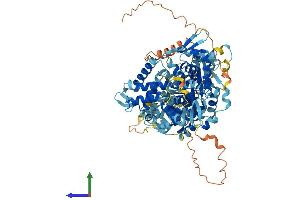 Protein Structure (PS) image for Glycerol-3-Phosphate Acyltransferase 2, Mitochondrial (GPAT2) (AA 1-801) protein (His tag) (ABIN7556988)