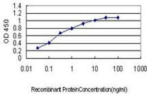 Detection limit for recombinant GST tagged YY1 is approximately 0. (YY1 antibody  (AA 221-320))