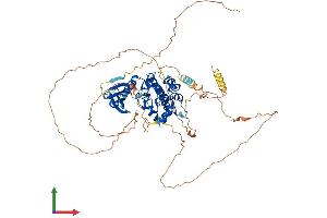 Protein Structure (PS) image for NUAK Family, SNF1-Like Kinase, 2 (NUAK2) (AA 1-628) protein (His tag) (ABIN7554797)
