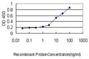 Detection limit for recombinant GST tagged MGC3207 is approximately 0. (MRI1 antibody  (AA 1-369))