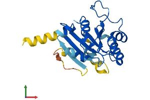 Protein Structure (PS) image for SAR1 Homolog B (SAR1B) (AA 1-198) protein (His tag) (ABIN7545981)