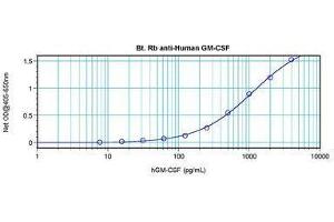 Image no. 2 for anti-Colony Stimulating Factor 2 (Granulocyte-Macrophage) (CSF2) antibody (Biotin) (ABIN465666) (GM-CSF antibody  (Biotin))