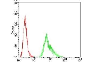 Flow cytometric analysis of Hela cells using SELL mouse mAb (green) and negative control (red).