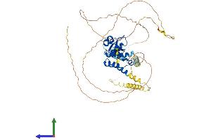 AlphaFold protein structure predicition of Human Recombinant PSIP1 Protein, UniprotID O75475 (PSIP1 Protein (AA 1-530) (His tag))