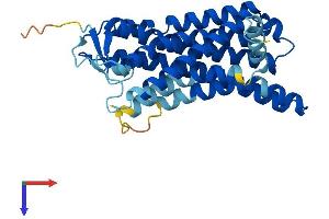 AlphaFold protein structure predicition of Human Recombinant OR6N1 Protein, UniprotID Q8NGY5 (OR6N1 Protein (AA 1-312) (His tag))
