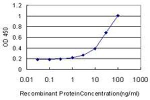 Detection limit for recombinant GST tagged MEOX1 is approximately 1ng/ml as a capture antibody. (MEOX1 antibody  (AA 165-252))