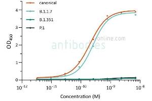 ELISA image for anti-SARS-CoV-2 Spike S1 antibody (ABIN6990085)