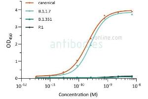 Direct ELISA of SARS-CoV-2 variant proteins with anti-SARS-CoV-2 Spike S1 antibody ABIN6990085. (SARS-CoV-2 Spike S1 antibody)