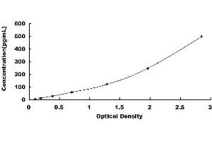 Typical standard curve (IL23A ELISA Kit)