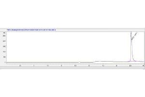 Angiotensinogen (serpin Peptidase Inhibitor, Clade A, Member 8) (AGT) peptide (Ovalbumin)