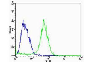 Flow cytometric analysis of MCF-7 cells using ADRA1D Antibody (N-term)(green) compared to an isotype control of rabbit IgG(blue). (ADRA1D antibody  (N-Term))