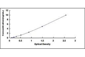 Typical standard curve (TIMP4 ELISA Kit)