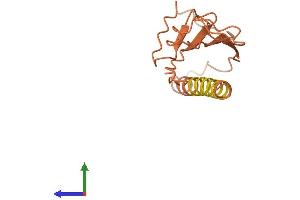 AlphaFold protein structure predicition of Human Recombinant ERC2-IT1 Protein, UniprotID O76042 (ERC2-IT1 Protein (AA 1-136) (His tag))
