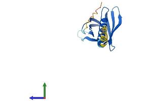 Protein Structure (PS) image for Pleckstrin Homology-Like Domain, Family A, Member 2 (PHLDA2) (AA 1-144) protein (His tag) (ABIN7562232)