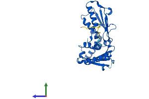 AlphaFold protein structure predicition of Mouse Recombinant Arpc2 Protein, UniprotID Q9CVB6