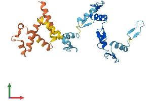 AlphaFold protein structure predicition of Human Recombinant ZNF138 Protein, UniprotID P52744
