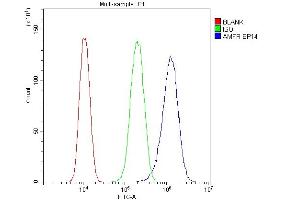 Flow Cytometry analysis of U87 cells using anti-AMFR antibody (ABIN4886455). (AMFR antibody  (AA 553-643))