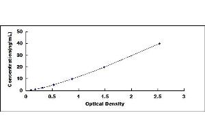 Typical standard curve (Vitamin D Receptor ELISA Kit)