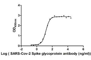 ELISA image for SARS-CoV-2 Spike S1 (RBD) protein (His tag,MYC tag) (ABIN6953168)