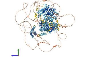 AlphaFold protein structure predicition of Human Recombinant ERCC6L Protein, UniprotID Q2NKX8