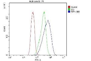 Flow Cytometry analysis of Caco-2 cells using anti-eRF1/ETF1 antibody (ABIN7602626). (ETF1 antibody  (AA 9-342))