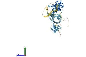 Protein Structure (PS) image for rho-Associated, Coiled-Coil Containing Protein Kinase 2 (ROCK2) (AA 1-1388) protein (His tag) (ABIN7555271)
