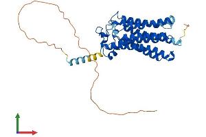 Protein Structure (PS) image for Adiponectin Receptor 1 (ADIPOR1) (AA 1-375) protein (His tag) (ABIN7559988)