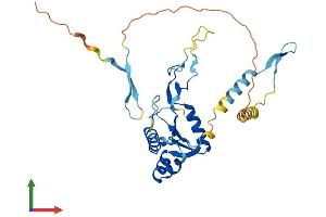 AlphaFold protein structure predicition of Human Recombinant GRXCR1 Protein, UniprotID A8MXD5 (GRXCR1 Protein (AA 1-290) (His tag))