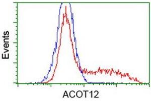 HEK293T cells transfected with either RC210445 overexpress plasmid (Red) or empty vector control plasmid (Blue) were immunostained by anti-ACOT12 antibody (ABIN2454307), and then analyzed by flow cytometry. (ACOT12 antibody)