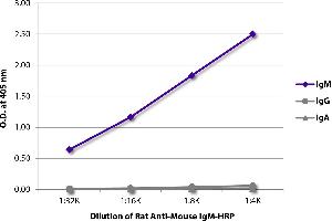 ELISA plate was coated with purified mouse IgM, IgG, and IgA. (Rat anti-Mouse IgM Antibody)