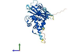 Protein Structure (PS) image for Ubiquitin Specific Peptidase 12 (USP12) (AA 1-370) protein (His tag) (ABIN7561176)