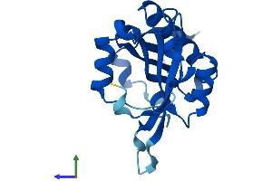 AlphaFold protein structure predicition of Human Recombinant NAA20 Protein, UniprotID P61599
